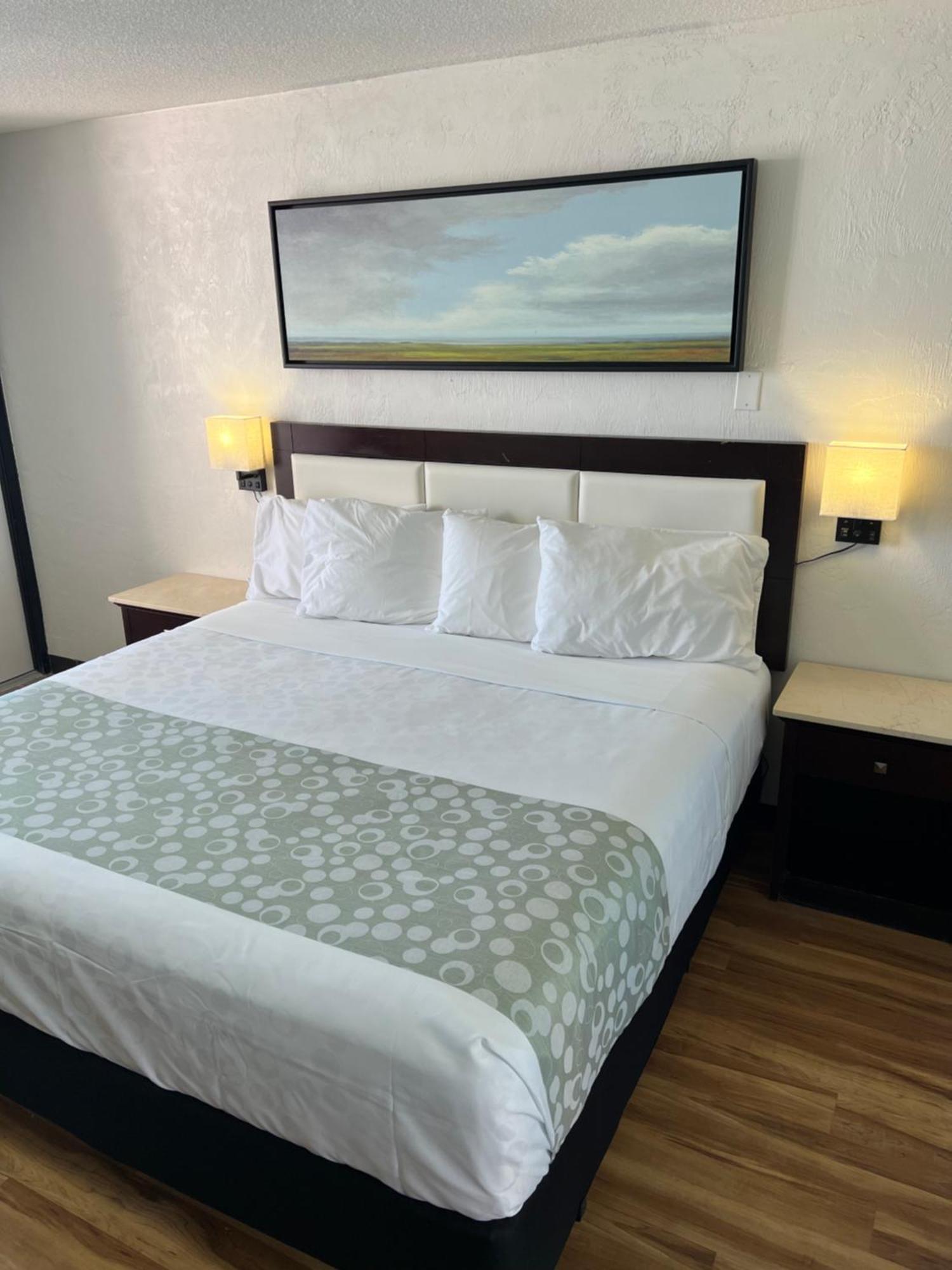 Flamingo Beachfront - Daytona